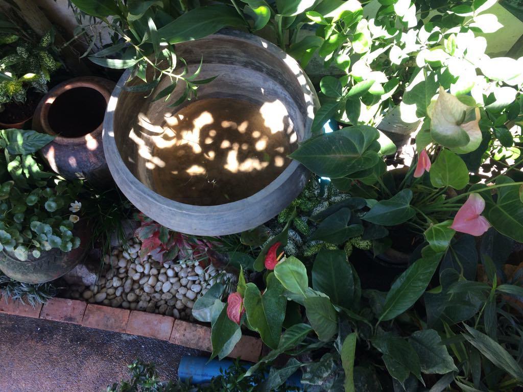 مبيت وإفطار شيانغ ماي Sister House Chiangmai (Adults Only) المظهر الخارجي الصورة